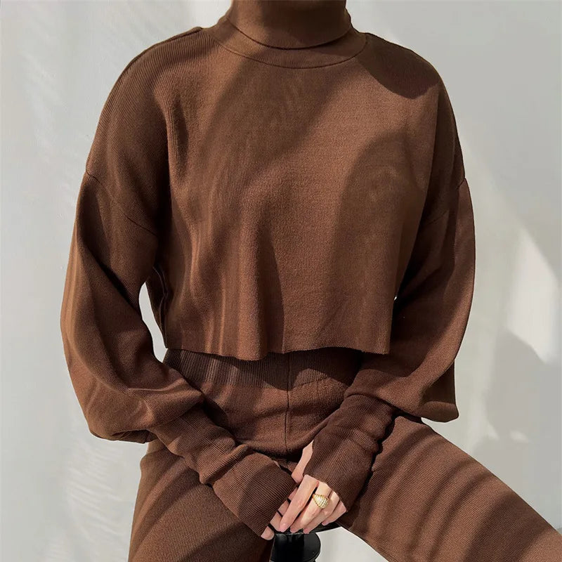 Autumn Winter High-Neck Hoodie Set Two-Piece Outfit